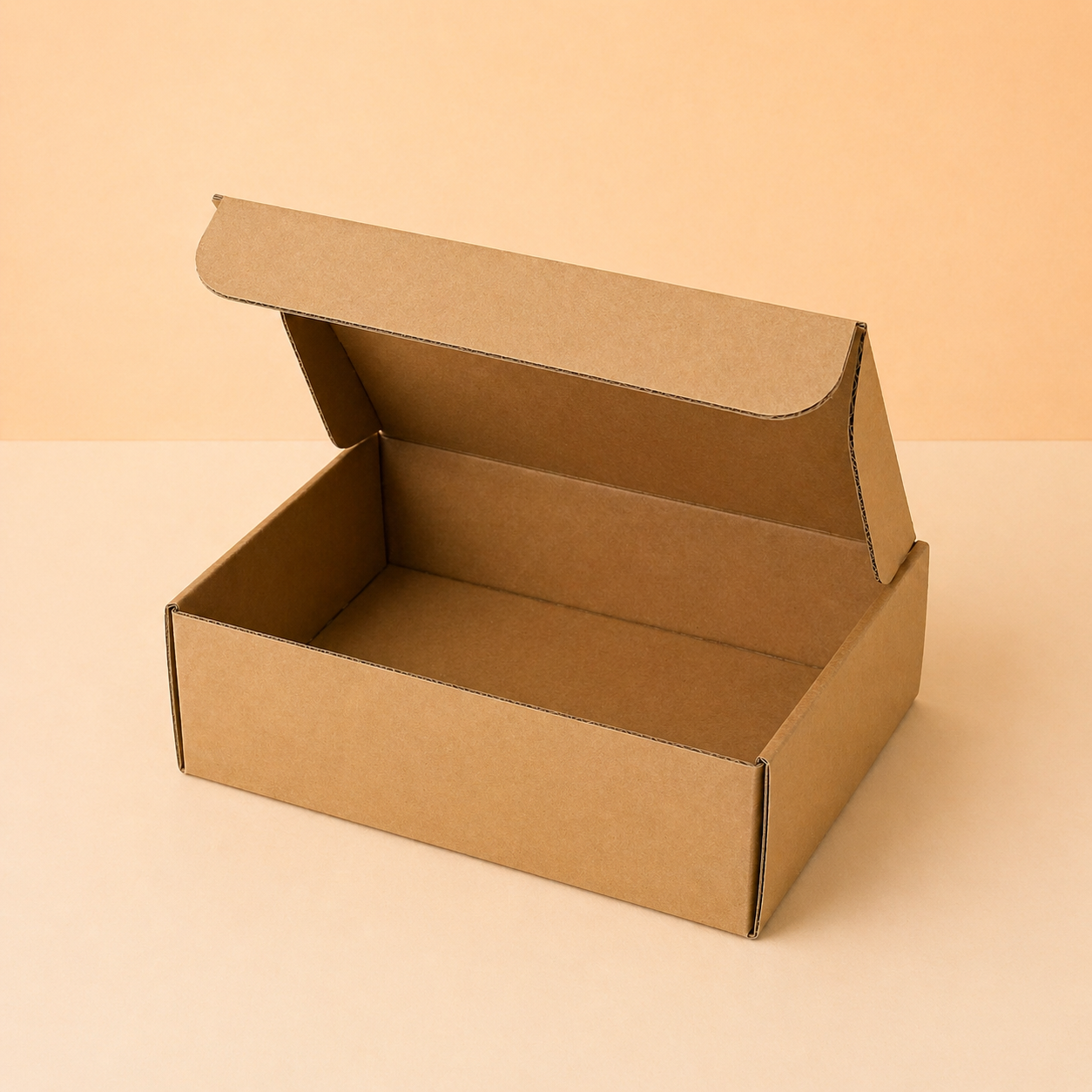 PT484 - 305x162x133mm
