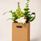 Flower Carry Box - 175x175x240mm
