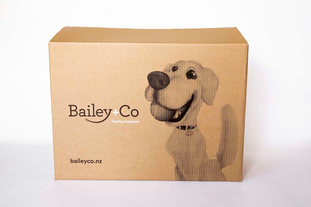 Bailey Co