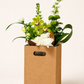 Flower Carry Box - 175x175x240mm