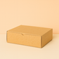 A4 Courier - 220x160x65mm