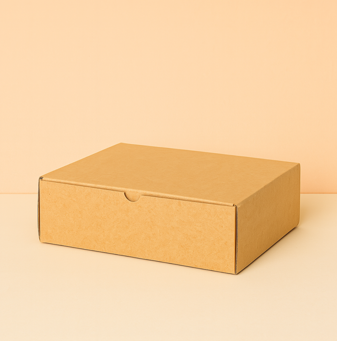 A4 Courier - 220x160x65mm