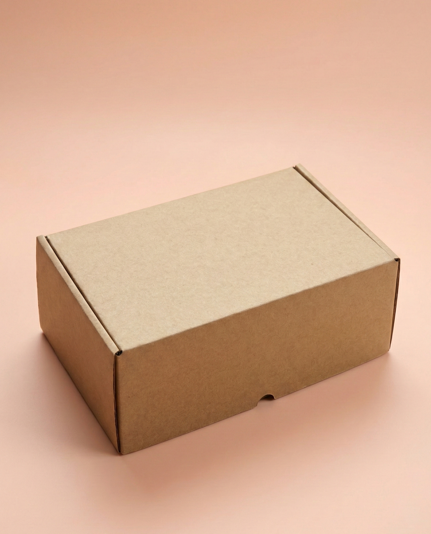 PT178 - 225 x 145 x 90