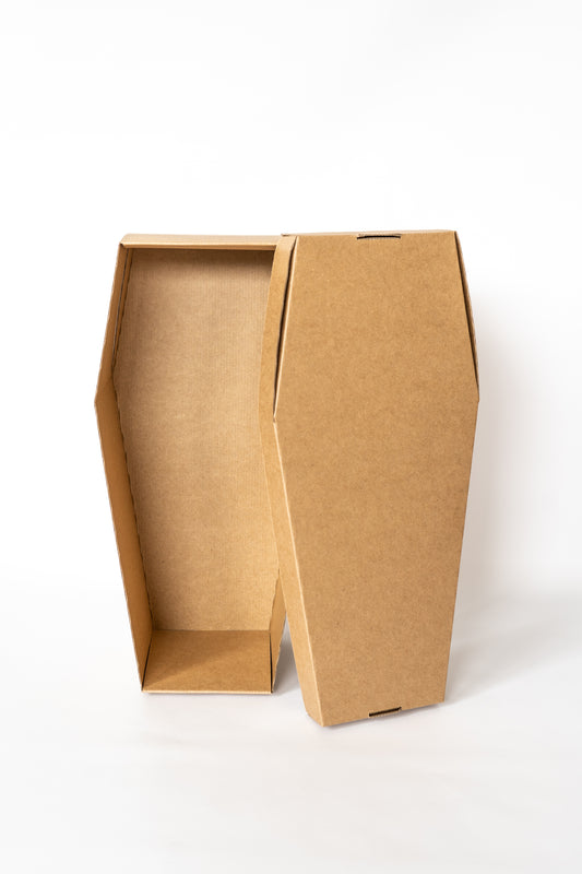 Environmentally Friendly Pet Coffin
