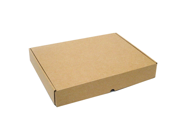 PT020 - A4 sized box